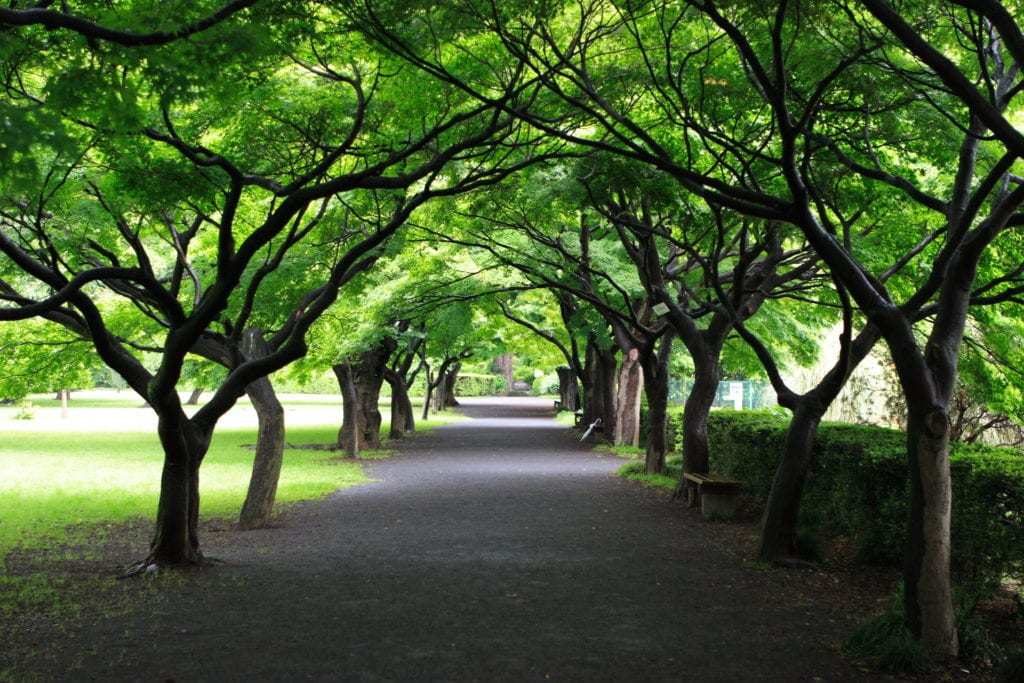 コンテンツ画像あり iiiiテスト2