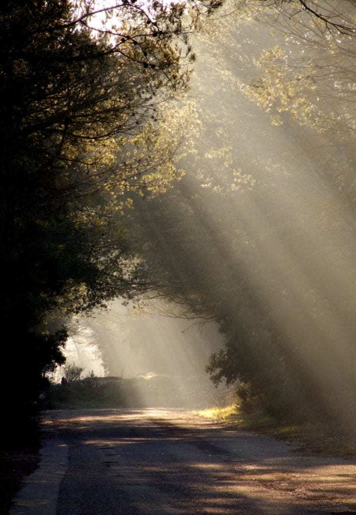 光代替テキスト